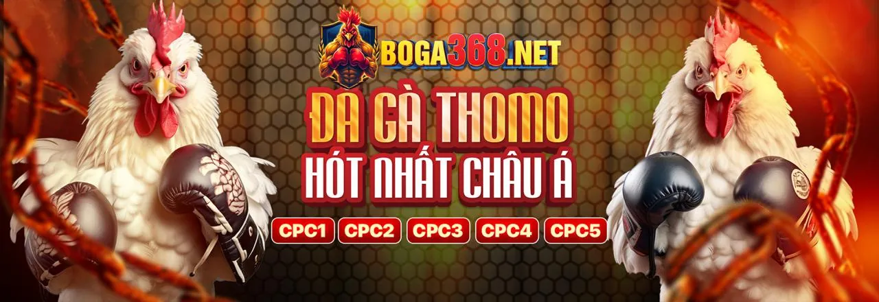 Banner khuyến mãi cá cược